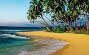 Splendid Andaman Splendid Andaman