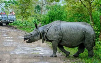 Meghalaya Call of Wild Meghalaya Call of Wild