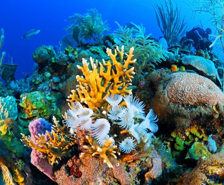 Picturesque Andaman Picturesque Andaman