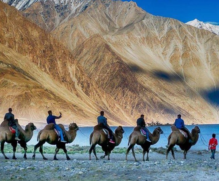 LADAKH WITH STOK VILLAGE LADAKH WITH STOK VILLAGE