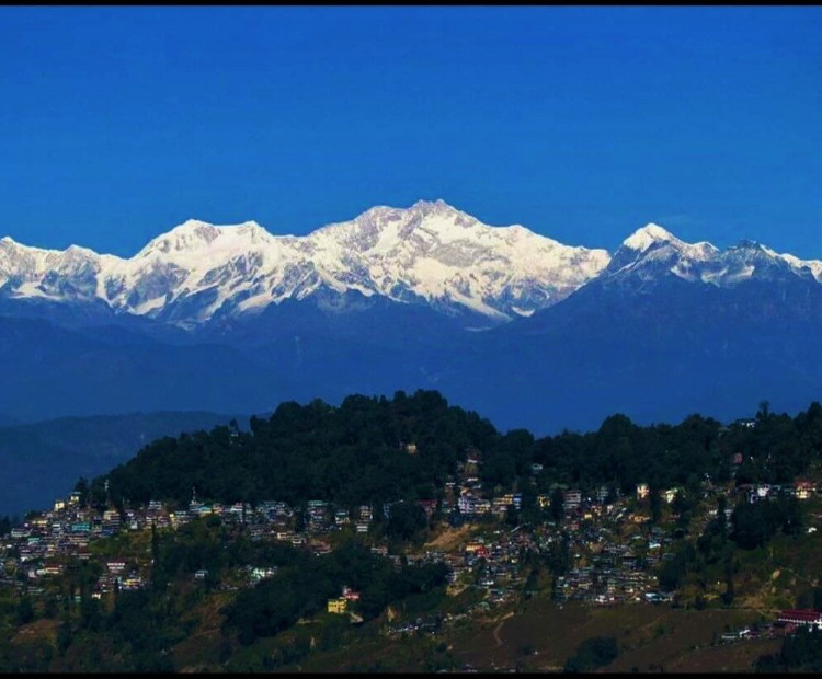 Queen of Hills Darjeeling Queen of Hills Darjeeling