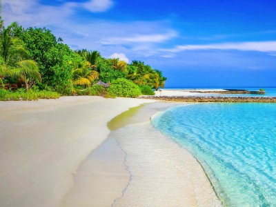 Dazzling Andaman Dazzling Andaman