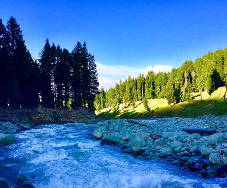 5N/6D Delight Kashmir 5N/6D Delight Kashmir