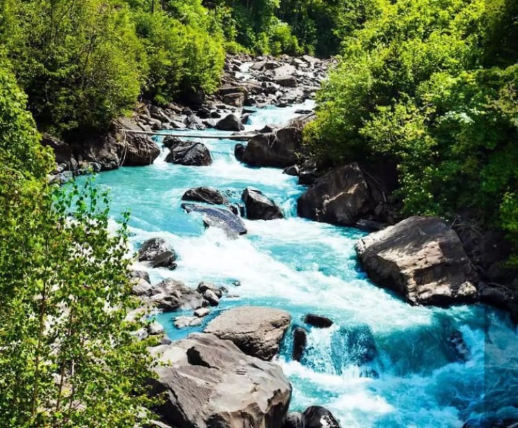 latest Arunachal package latest Arunachal package
