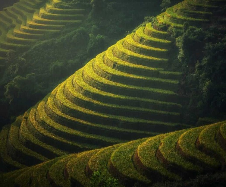 Hidden wonders of Darjeeling Hidden wonders of Darjeeling