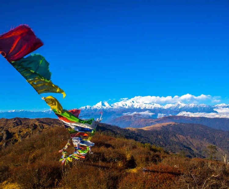 Gem of North Bengal Gem of North Bengal