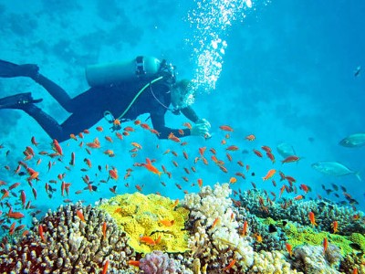 Magical Andaman Magical Andaman