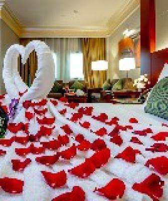 Flower Bed Decoration Premium & Deluxe
